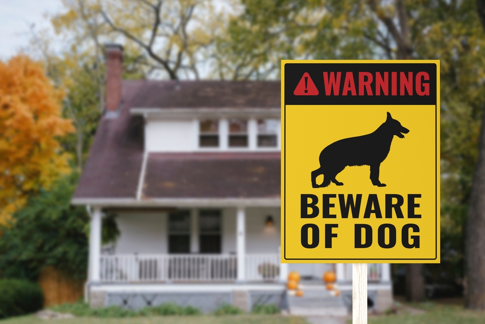 Homeowners Insurance Dog Attack